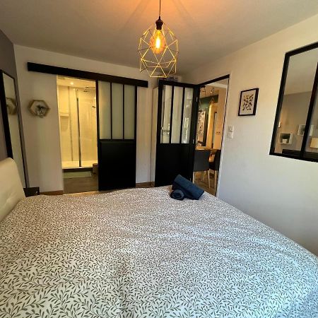 Confort Appartement Proche Gare Et Centre Στρασβούργο Εξωτερικό φωτογραφία