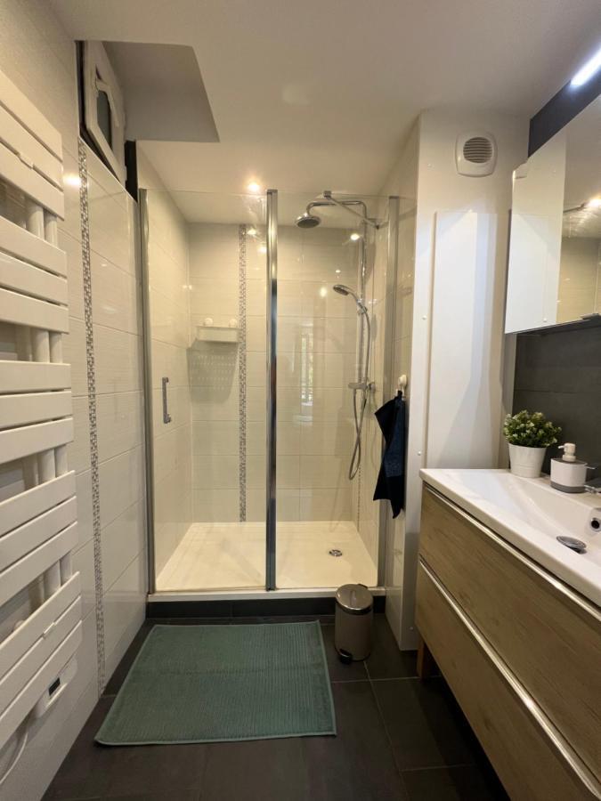 Confort Appartement Proche Gare Et Centre Στρασβούργο Εξωτερικό φωτογραφία
